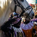 Foto: Intocht Sinterklaas in Zaandam 2009 (1624)