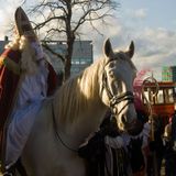 Foto: Intocht Sinterklaas in Zaandam 2009 (1625)