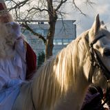 Foto: Intocht Sinterklaas in Zaandam 2009 (1626)