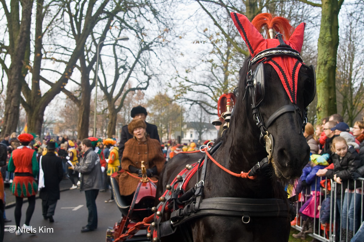 Foto: Intocht Sinterklaas in Groningen 2009 (1677)