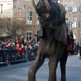 Foto: Intocht Sinterklaas in Groningen 2009 (1735)