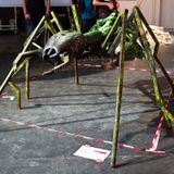 Foto: Maker Faire 050 2011 (2524)