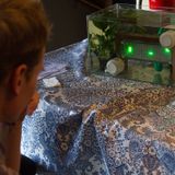 Foto: Maker Faire 050 2011 (2547)